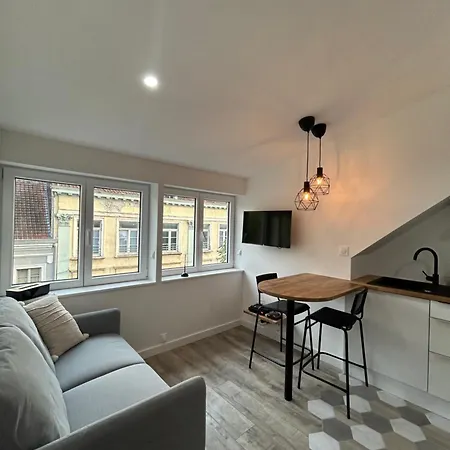 Apartment La Perle Rare Roubaix